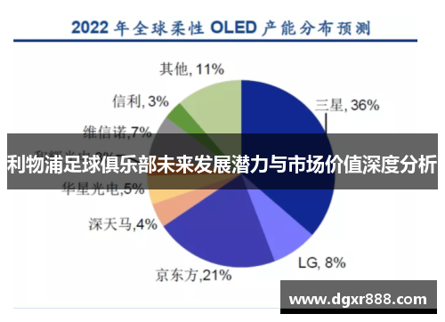 利物浦足球俱乐部未来发展潜力与市场价值深度分析