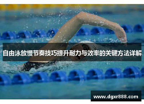 自由泳放慢节奏技巧提升耐力与效率的关键方法详解