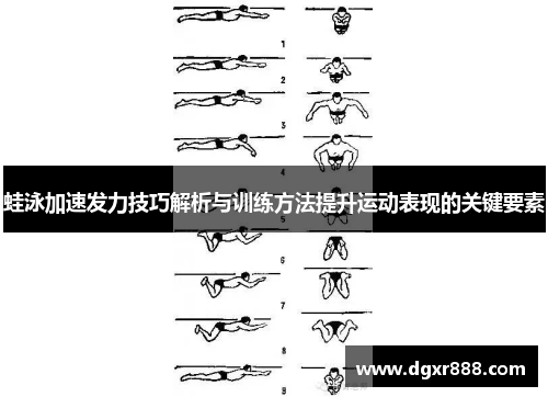 蛙泳加速发力技巧解析与训练方法提升运动表现的关键要素
