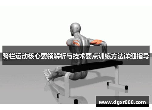 跨栏运动核心要领解析与技术要点训练方法详细指导